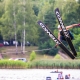 nartywodne290717-14-2